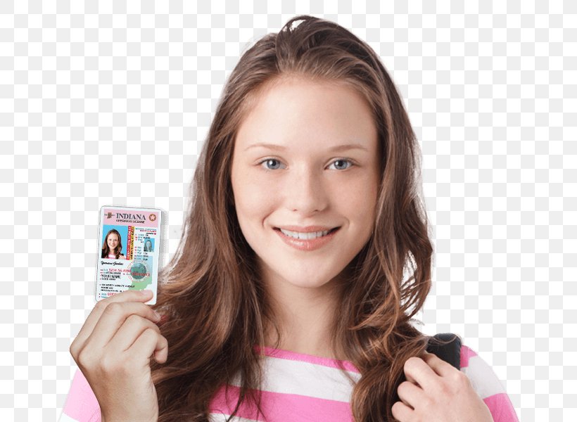Learner's Permit Driving Driver's Education Driver's License, PNG, 658x600px, Watercolor, Cartoon, Flower, Frame, Heart Download Free