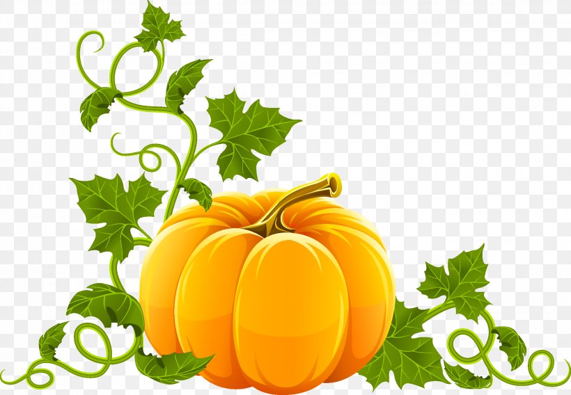 Pumpkin Pie Jack-o-lantern Clip Art, PNG, 2244x1556px, Pumpkin, Calabaza, Citrus, Cucurbita, Diet Food Download Free