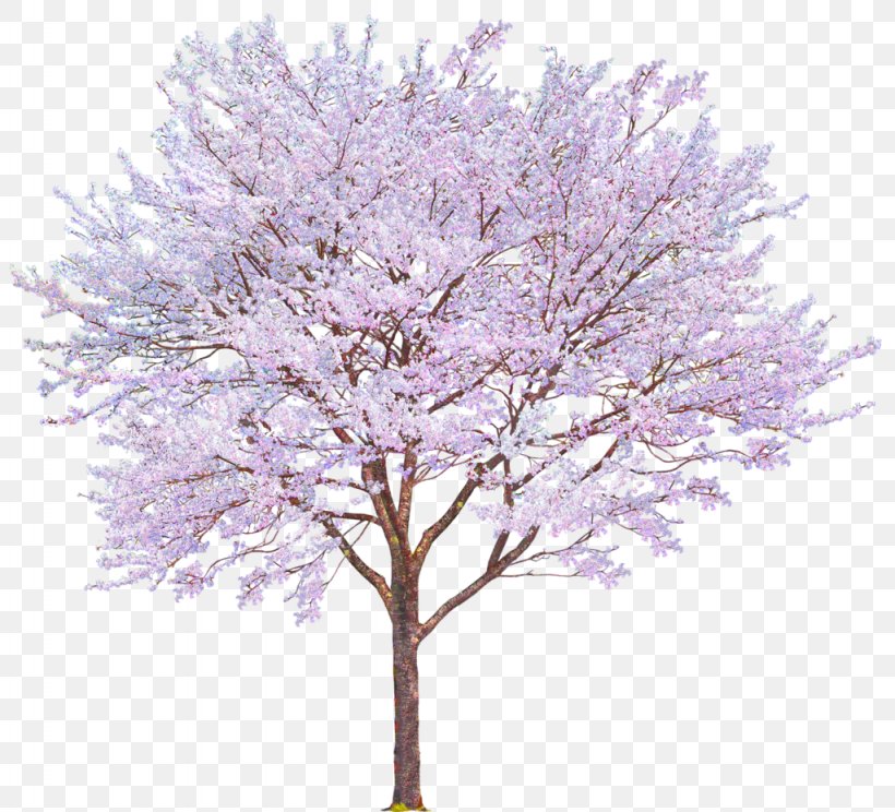 Tree, PNG, 1024x930px, Tree, Blossom, Branch, Cherry Blossom, Drawing Download Free