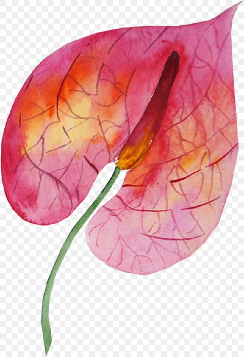 Watercolor Painting Drawing, PNG, 1092x1600px, Watercolor Painting, Drawing, Flower, Flowering Plant, Leaf Download Free