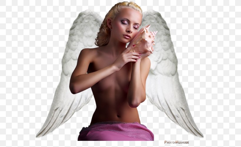 Angel Aile Wing Feather Week, PNG, 600x503px, Angel, Aile, Feather, Fictional Character, Internet Download Free