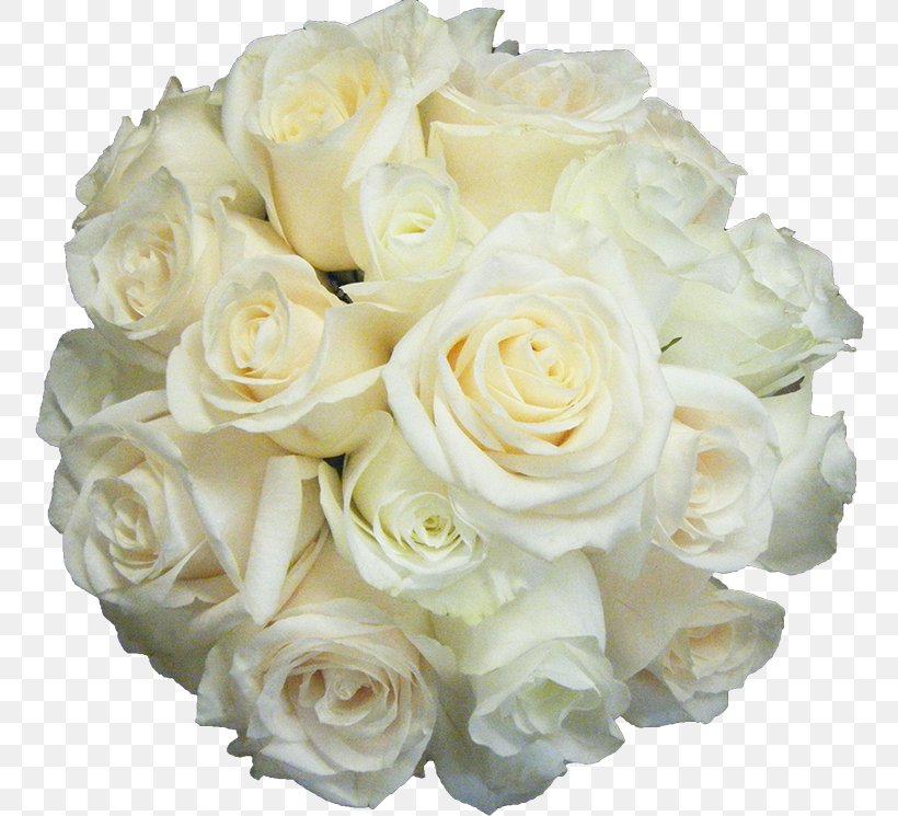 Beach Rose Flower White Ball, PNG, 758x745px, Beach Rose, Artificial Flower, Ball, Color, Cut Flowers Download Free