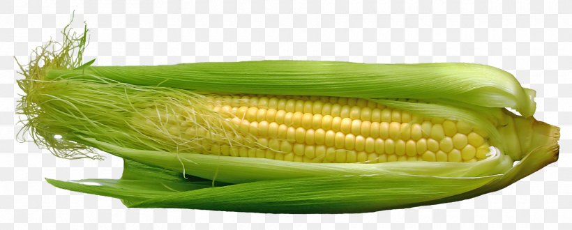Corn On The Cob Maize Vegetable Food, PNG, 1820x734px, Corn On The Cob, Baby Corn, Commodity, Corn Kernel, Corncob Download Free