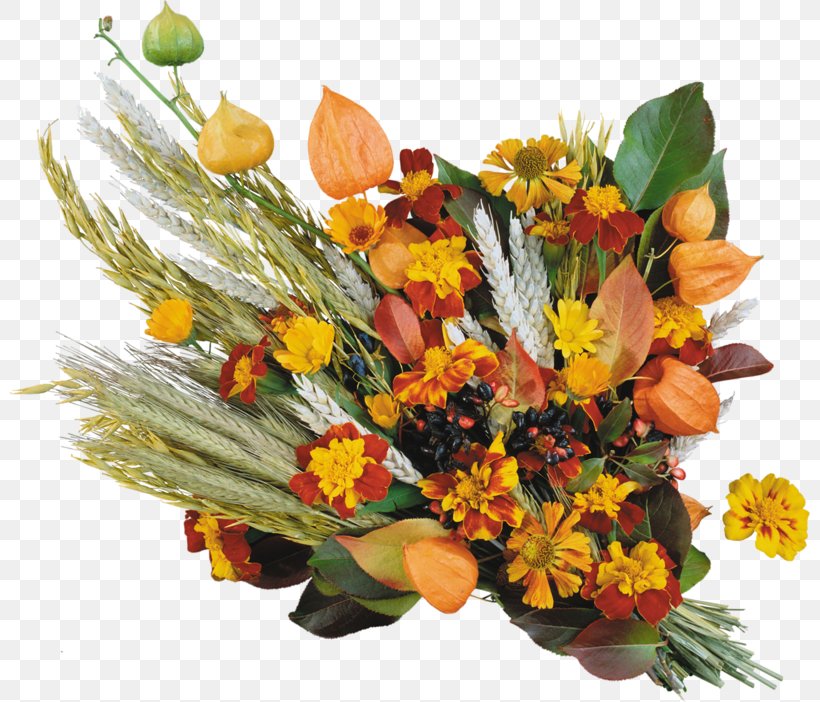 Teachers' Day Knowledge Day School Flower Bouquet, PNG, 800x702px, Teachers Day, Ansichtkaart, Autumn, Birthday, Cut Flowers Download Free