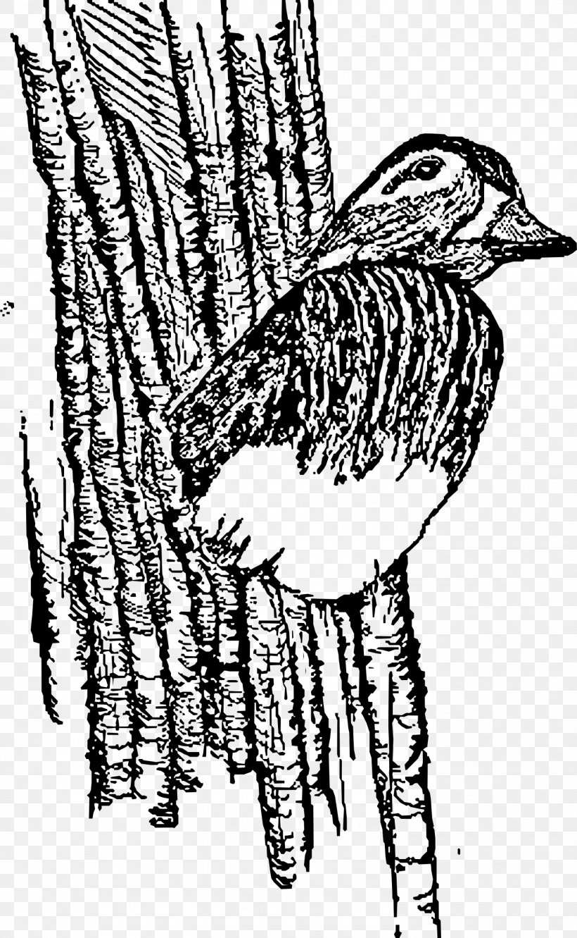 Wood Duck Mallard American Pekin Bird, PNG, 1478x2400px, Watercolor, Cartoon, Flower, Frame, Heart Download Free