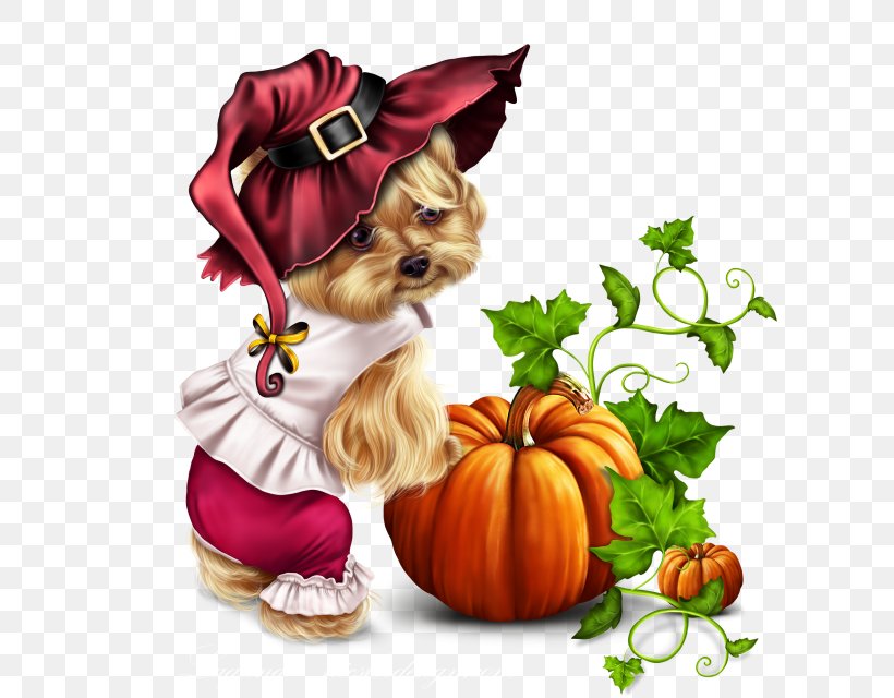 Dog Trick-or-treat Shih Tzu Puppy Yorkshire Terrier, PNG, 640x640px, Dog, Plant, Puppy, Shih Tzu, Trickortreat Download Free