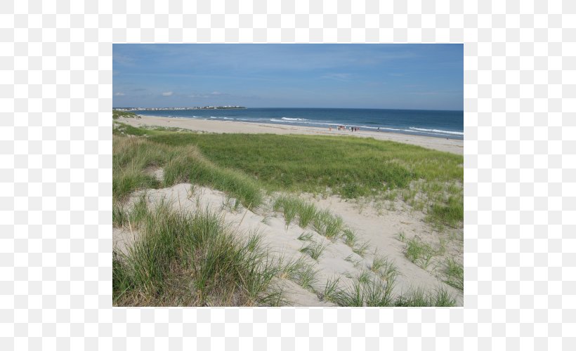 Shore Sea Beach Land Lot Ecoregion, PNG, 500x500px, Shore, Aeolian Landform, Beach, Coast, Coastal And Oceanic Landforms Download Free