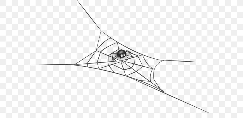 Spider Web Drawing, PNG, 650x398px, Spider, Animation, Area, Black, Black And White Download Free