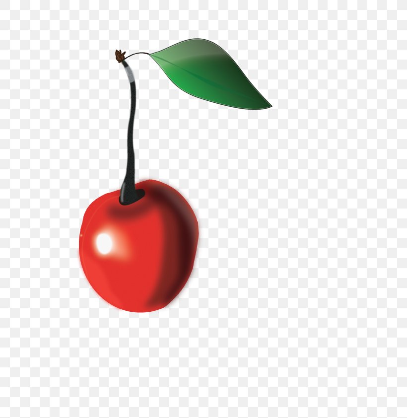 Cherry Drawing Production Artist, PNG, 595x842px, Cherry, Color, Desktop Publishing, Drawing, Food Download Free