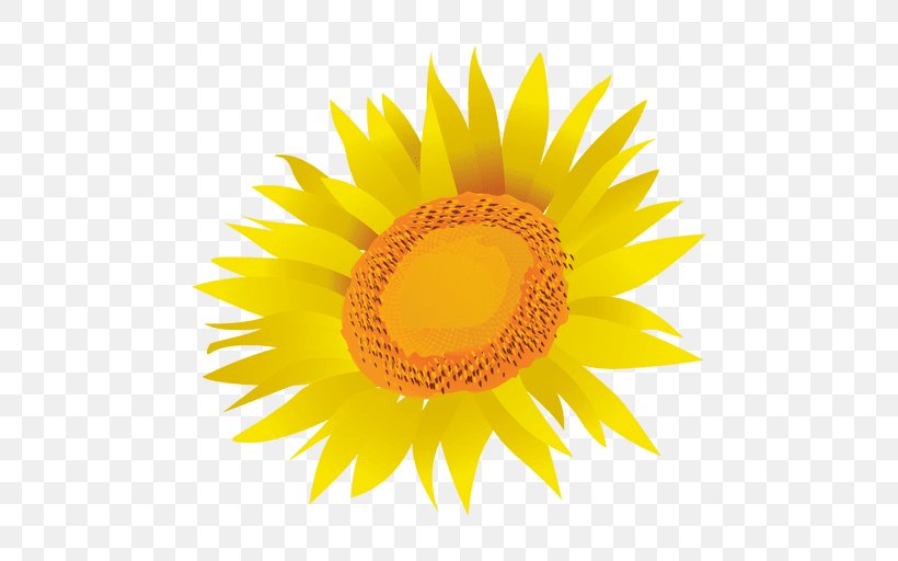 Common Sunflower Drawing Royalty-free Clip Art, PNG, 512x512px, Common Sunflower, Daisy Family, Drawing, Flower, Flowering Plant Download Free