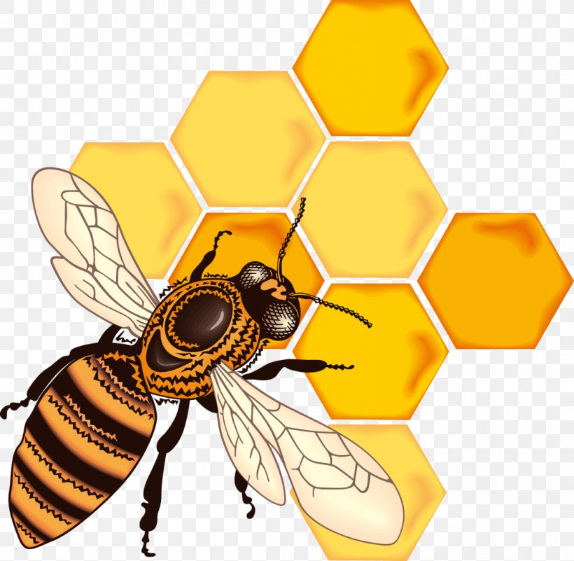 Honey Bee Honeycomb Clip Art, PNG, 1048x1024px, Honey Bee, Arthropod, Bee, Beehive, Business Download Free