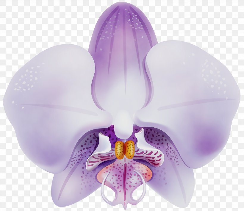 Lavender, PNG, 3000x2597px, Watercolor, Flower, Flowering Plant, Lavender, Lilac Download Free