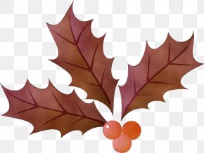 Deciduous Plane - Maple Leaf PNG