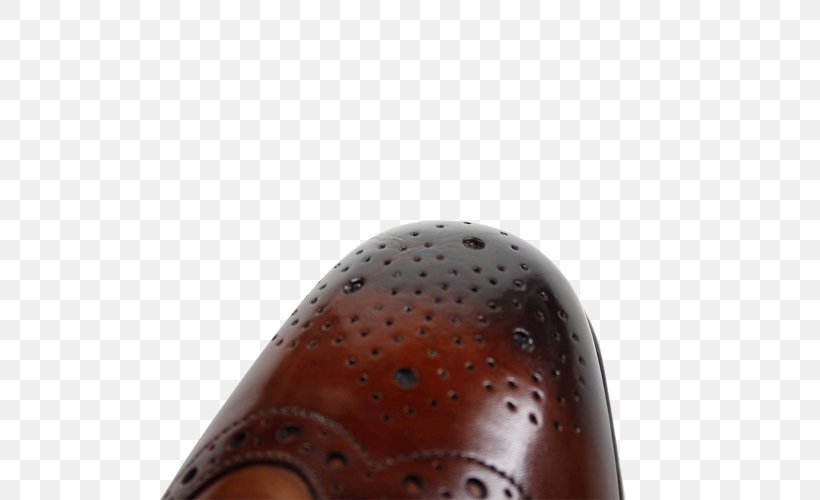 Close-up Shoe, PNG, 500x500px, Closeup, Outdoor Shoe, Shoe Download Free