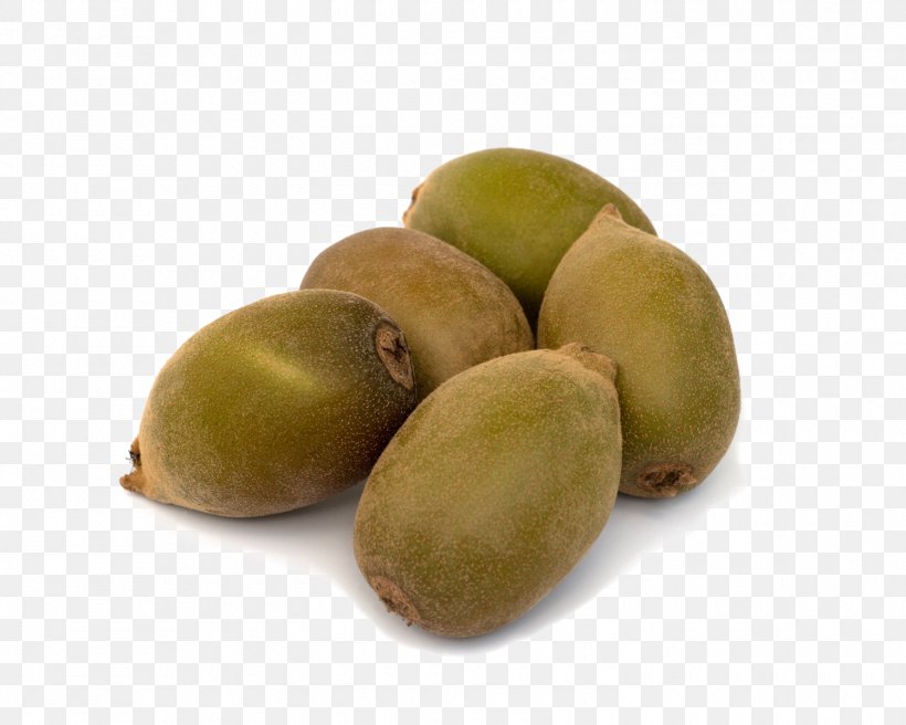 Kiwifruit PHP, PNG, 1500x1200px, Fruit, Column, Commodity, Data, Data Type Download Free