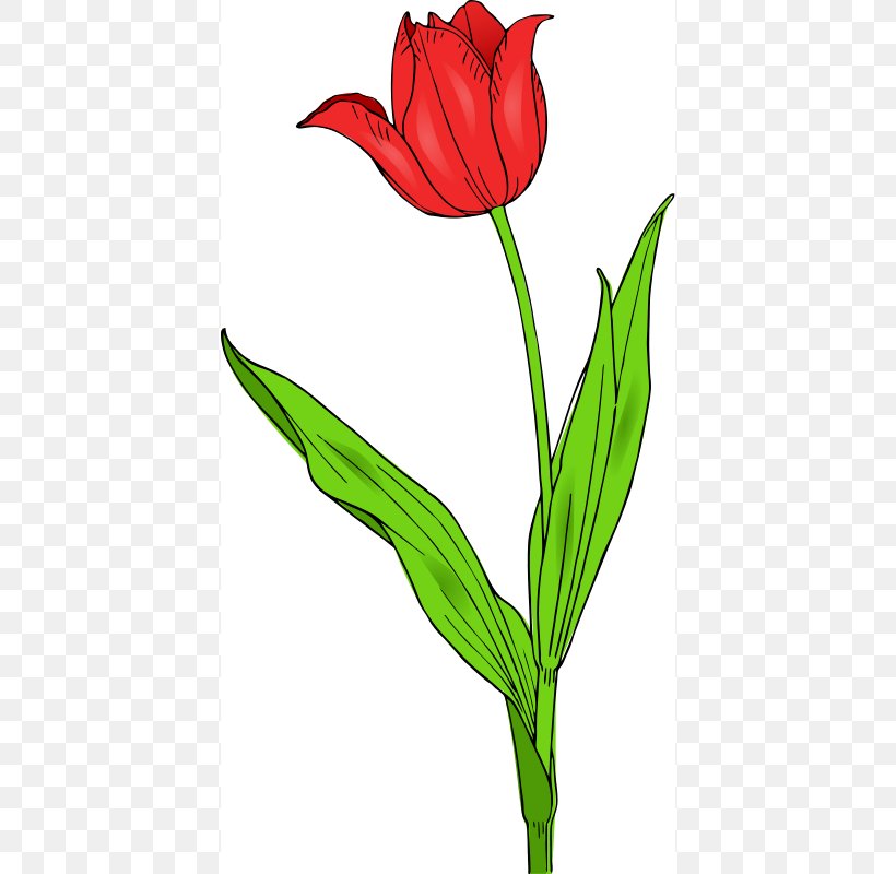 Tulipa Gesneriana Flower Free Content Clip Art, PNG, 416x800px, Tulipa Gesneriana, Blog, Bud, Cut Flowers, Flora Download Free