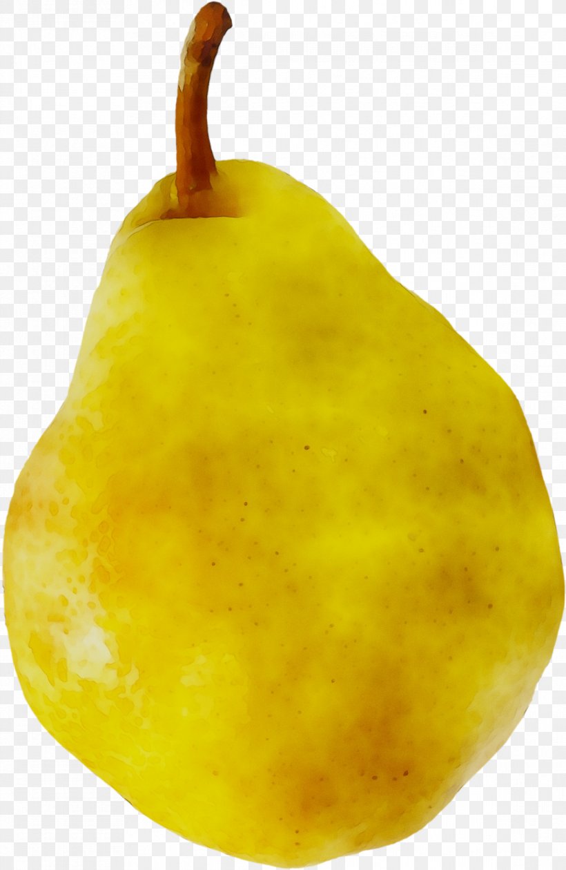 Pear Winter Squash Fahrenheit, PNG, 1167x1794px, Pear, Accessory Fruit, Fahrenheit, Food, Fruit Download Free