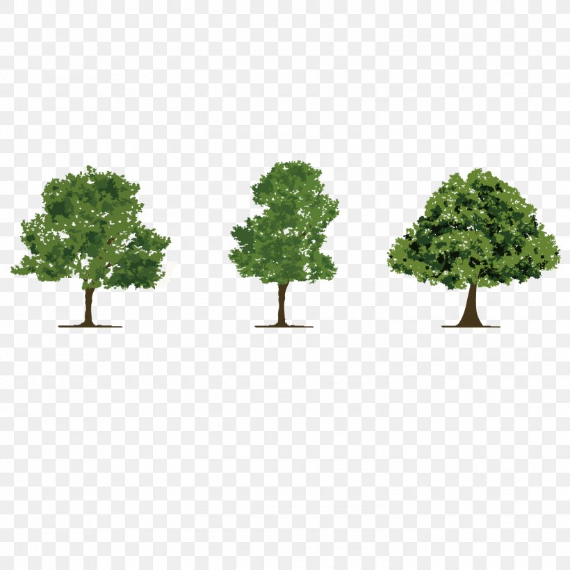 Tree Tropical Rainforest Adobe Illustrator, PNG, 1500x1501px, Tree, Broadleaved Tree, Flowerpot, Forest, Grass Download Free