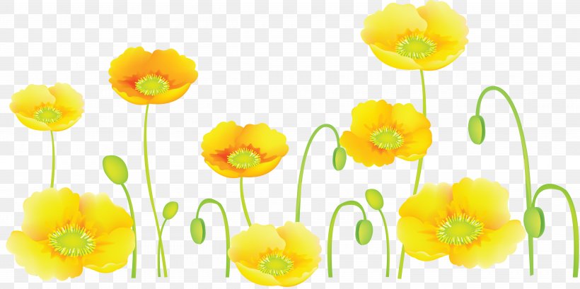 Flower Common Poppy Clip Art, PNG, 5000x2499px, Flower, Artificial Flower, Common Poppy, Flowering Plant, Petal Download Free