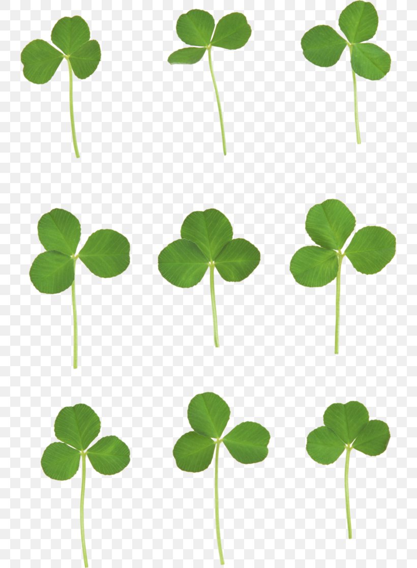 Four-leaf Clover Clip Art, PNG, 740x1117px, Clover, Clipping Path, Display Resolution, Fourleaf Clover, Grass Download Free