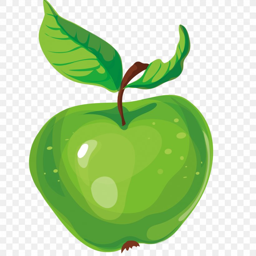 Granny Smith Illustration, PNG, 1500x1500px, Granny Smith, Apple, Food, Fruit, Green Download Free