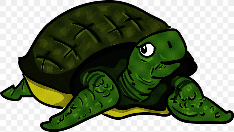 Turtle Green Tortoise Reptile, PNG, 1789x1009px, Turtle, Green, Reptile, Tortoise Download Free