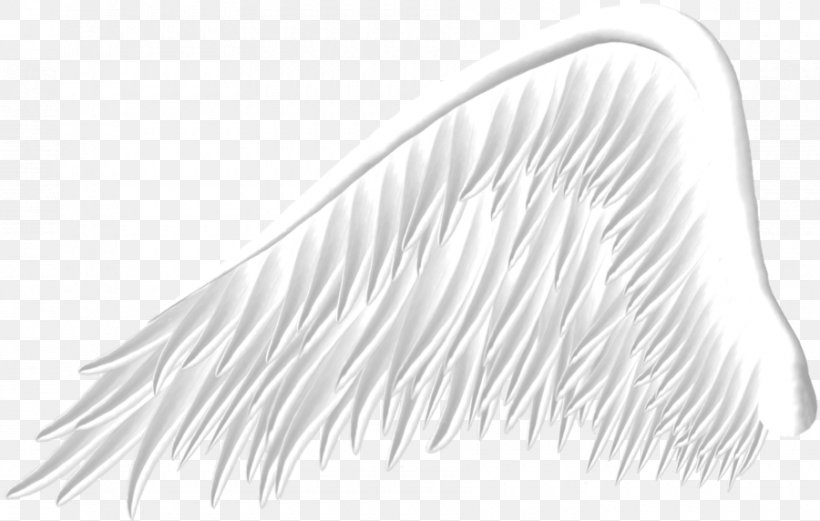 Wing PicsArt Photo Studio, PNG, 900x572px, Wing, Black And White, Deviantart, Feather, Monochrome Download Free