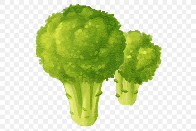 Cauliflower Vegetable, PNG, 635x549px, Cauliflower, Brassica Oleracea, Drawing, Grass, Green Download Free