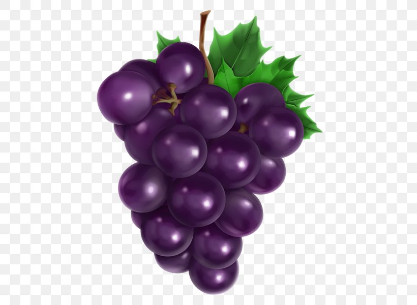 Common Grape Vine Grape Seed Oil Avocado Oil, PNG, 477x600px, Common Grape Vine, Avocado, Avocado Oil, Berry, Cooking Oil Download Free