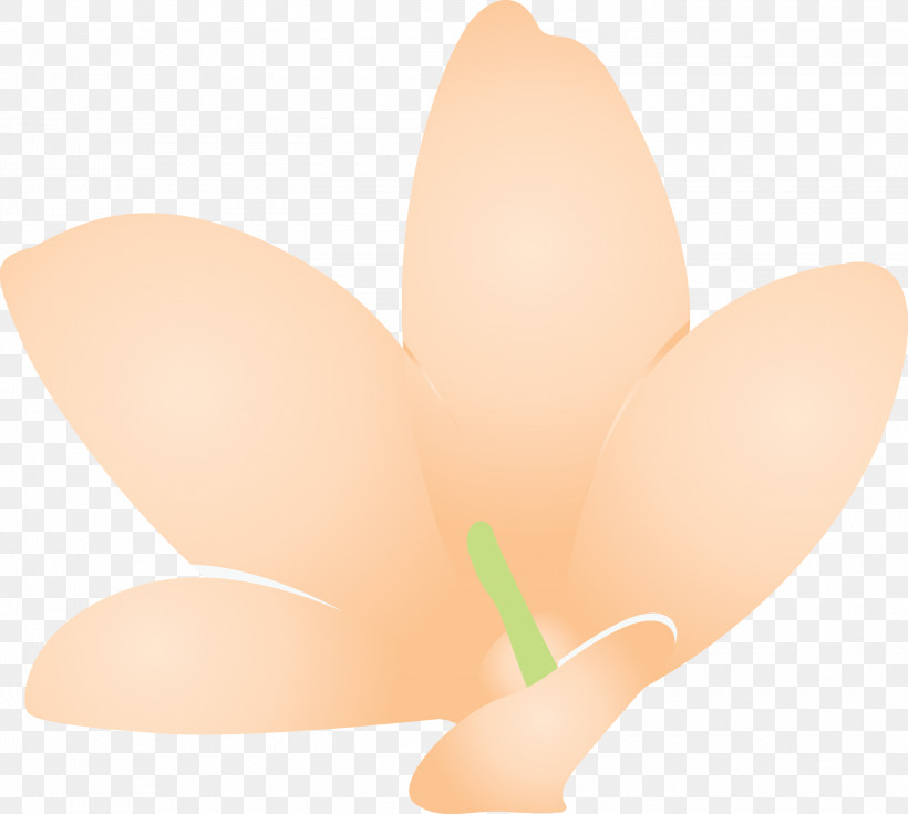 Jasmine Jasmine Flower, PNG, 3000x2690px, Jasmine, Hm, Jasmine Flower, Lighting, Peach Download Free