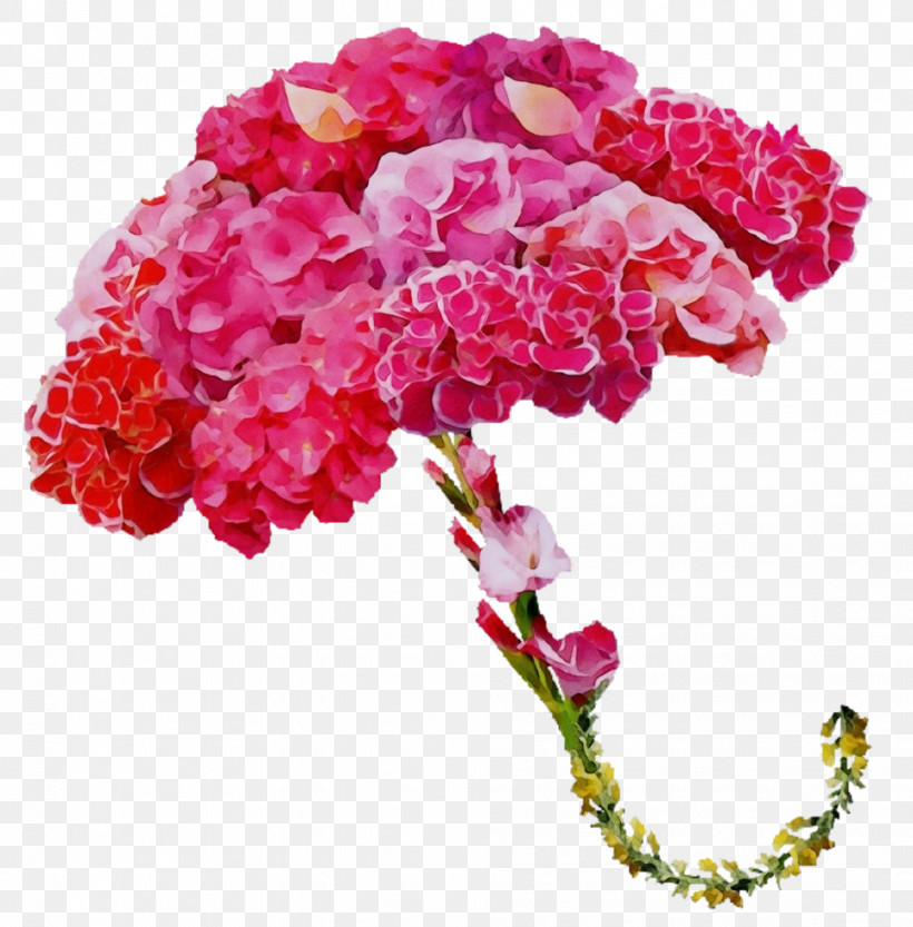 Rose, PNG, 964x980px, Watercolor, Carnation, Color, Cut Flowers, Flower Download Free