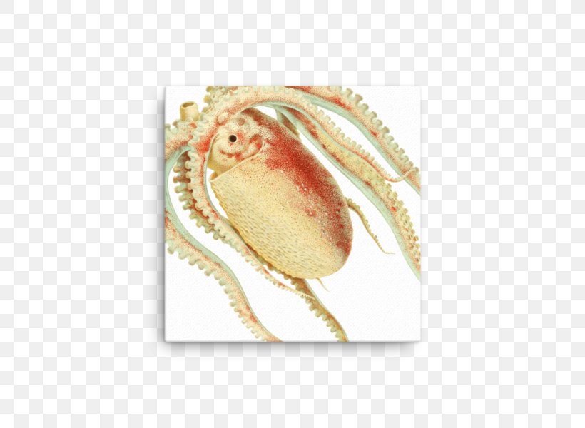 Dungeness Crab Forio Giclée, PNG, 600x600px, Dungeness, Crab, Dungeness Crab, Forio, Organism Download Free