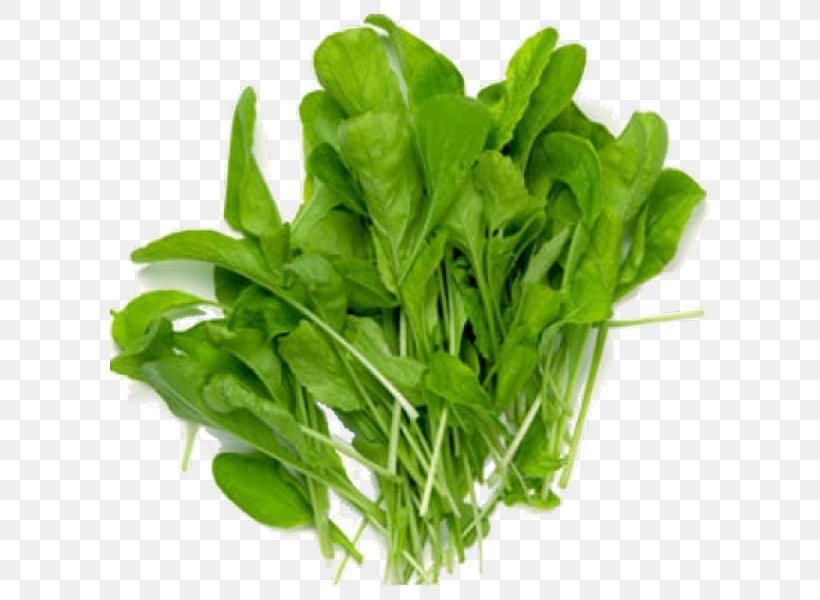 Hydroponics Vegetable Organic Farming Leaf Lettuce Mustards, PNG, 600x600px, Hydroponics, Arugula, Basil, Brassica Oleracea, Chard Download Free