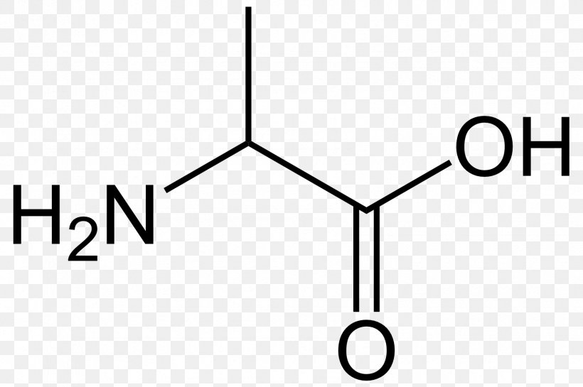 Proteinogenic Amino Acid Proline Branched-chain Amino Acid Essential Amino Acid, PNG, 1696x1129px, Amino Acid, Acid, Alanine, Amine, Area Download Free