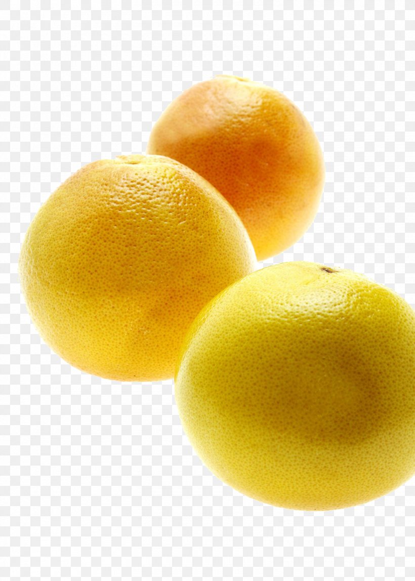 Sweet Lemon Grapefruit Citron Citrus Junos, PNG, 1580x2212px, Lemon, Acid, Citric Acid, Citron, Citrus Download Free