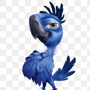 Rio 2 Images Rio 2 Transparent Png Free Download