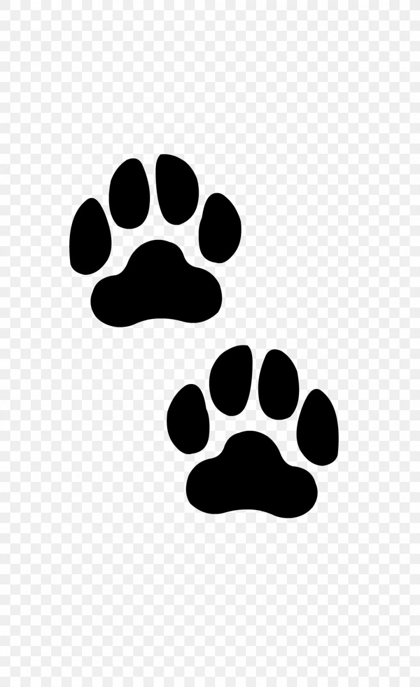 Cat Laekenois Paw Belgian Shepherd Sticker, PNG, 1000x1635px, Cat, Animal, Belgian Shepherd, Black, Black And White Download Free