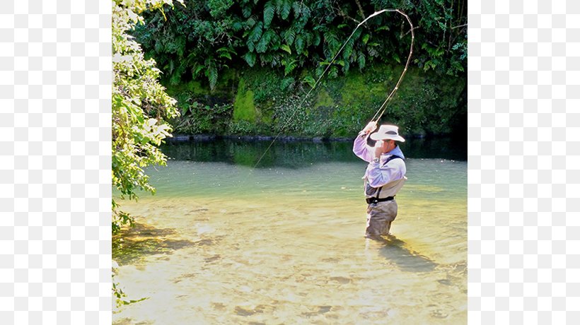 Fly Fishing Vertebrate Water Resources Leisure Vacation, PNG, 820x460px, Fly Fishing, Fishing, Grass, Hobby, Leisure Download Free