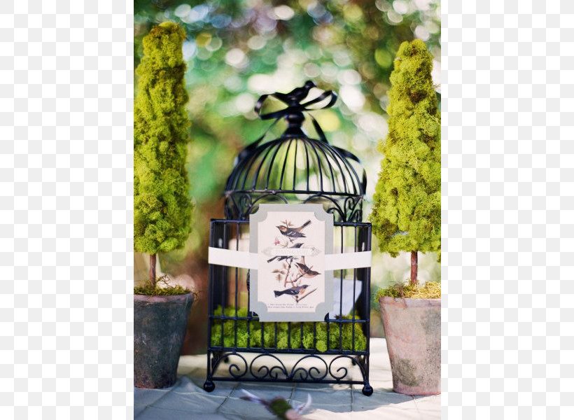 Wedding Planner Centrepiece Cage Wedding Ring, PNG, 600x600px, Wedding, Bird, Box, Bride, Cage Download Free