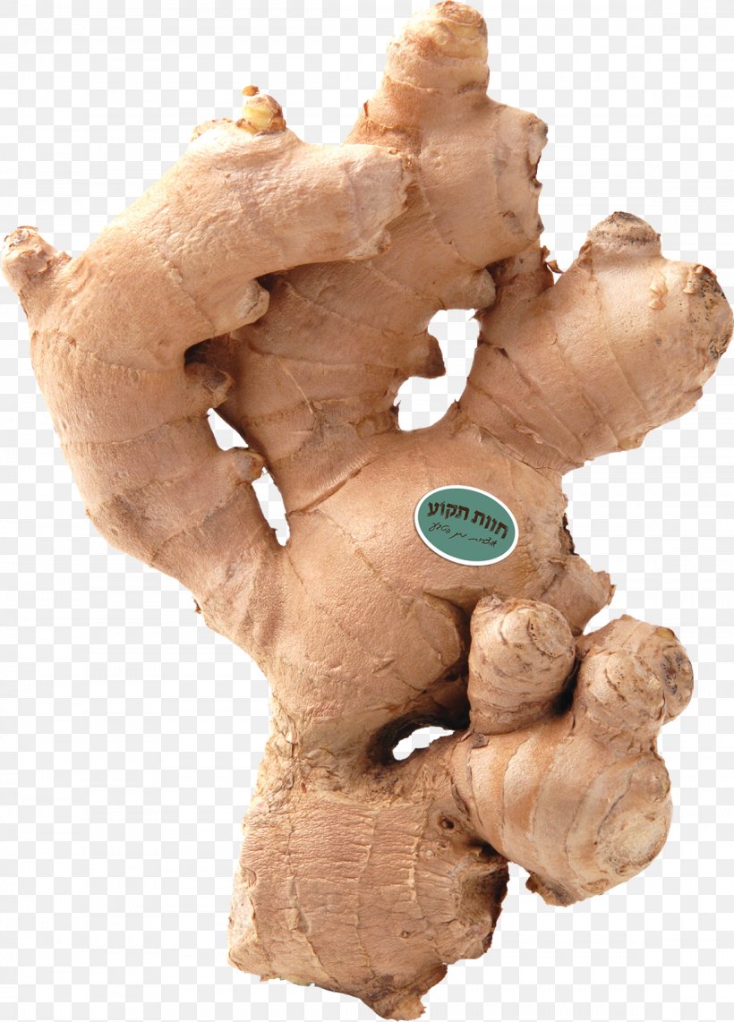 Ginger Root Vegetables Spice, PNG, 1148x1600px, Ginger, Asian Cuisine, Cooking, Food, Health Download Free