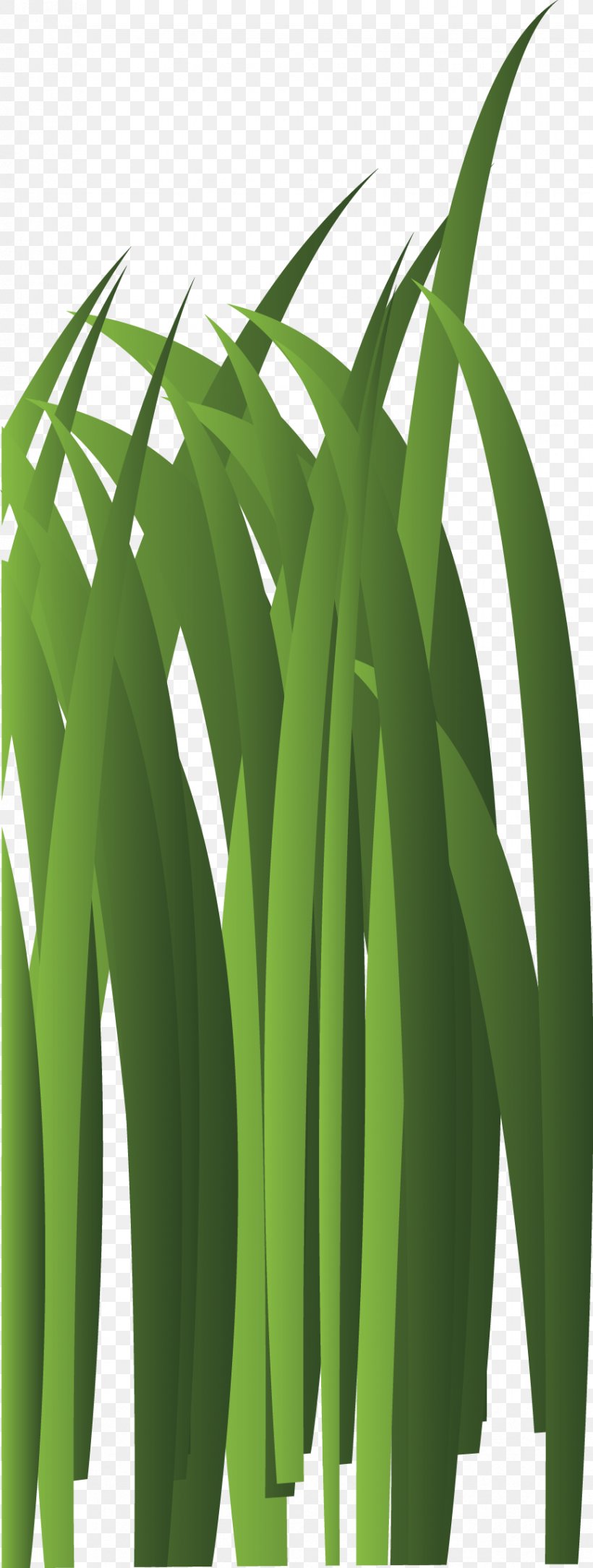 Bambusodae Green Leaf Plant Stem Tree, PNG, 866x2290px, Bamboo, Chemical Element, Computer Graphics, Designer, Grass Download Free