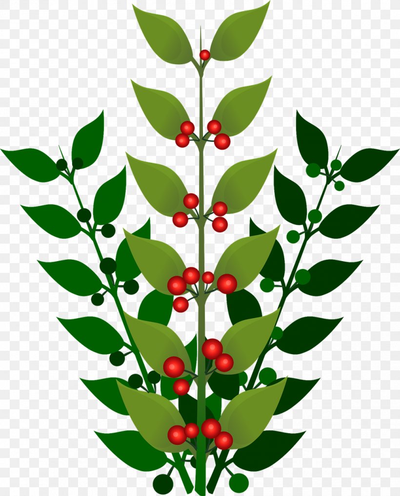 Berry Branch Clip Art, PNG, 1031x1280px, Berry, Aquifoliaceae, Artwork, Blueberry, Branch Download Free