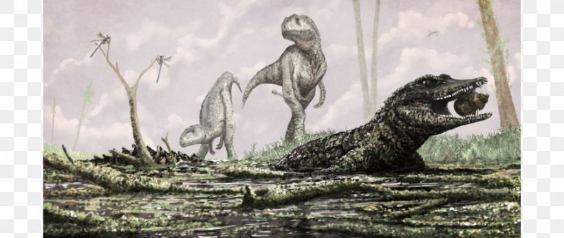 Crocodile Prehistory Deinosuchus Koumpiodontosuchus Diplodocus, PNG, 900x381px, Crocodile, Alligator, Crocodiles, Crocodilia, Deinosuchus Download Free