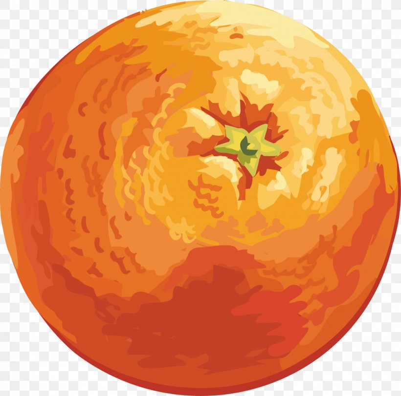 Mandarin Orange Drawing Clip Art, PNG, 1413x1398px, Orange, Auglis, Calabaza, Citrus, Color Download Free