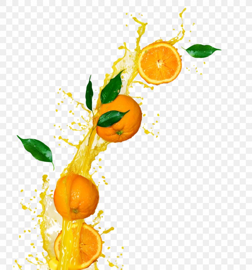 Orange Juice Juicer Fruit, PNG, 933x1000px, Orange Juice, Citrus, Fizzy Drinks, Food, Fruit Download Free
