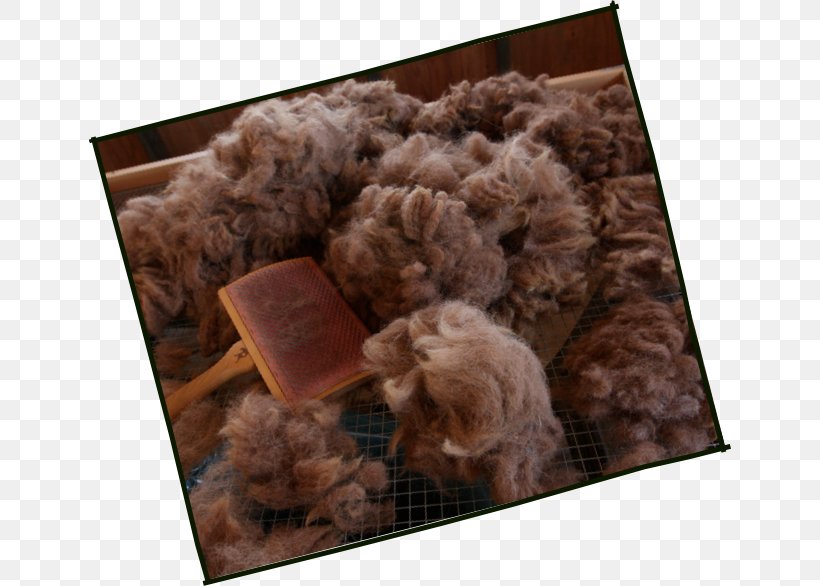 Dog Fur Canidae Crossbreed Mammal, PNG, 643x586px, Dog, Canidae, Crossbreed, Dog Like Mammal, Flooring Download Free