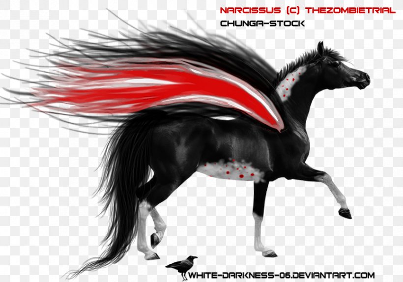 Mane Mustang Stallion Horse Harnesses Halter, PNG, 865x606px, Mane, Halter, Harness Racing, Horse, Horse Harness Download Free