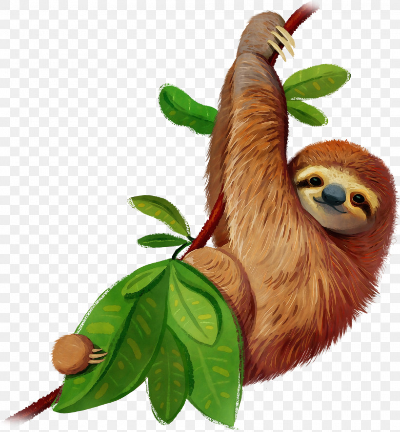 Three-toed Sloth Sloth Two-toed Sloth Leaf Tree, PNG, 2021x2180px, Watercolor, Leaf, Paint, Plant, Sloth Download Free