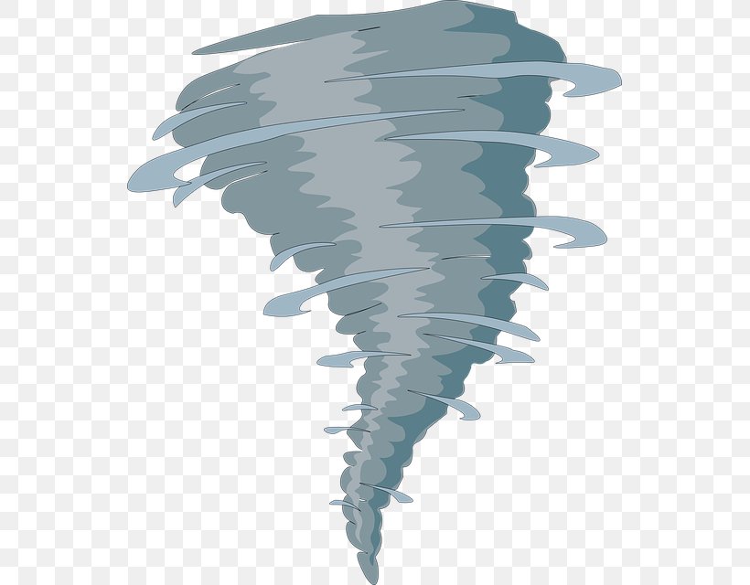 Tornado Cartoon, PNG, 541x640px, Tornado, Drawing, Feather, Tropical Cyclone, Whirlwind Download Free