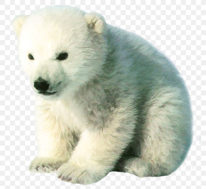 Baby Polar Bear Arctic Kodiak Bear, PNG, 779x753px, Polar Bear, Arctic, Baby Polar Bear, Bear, Brown Bear Download Free